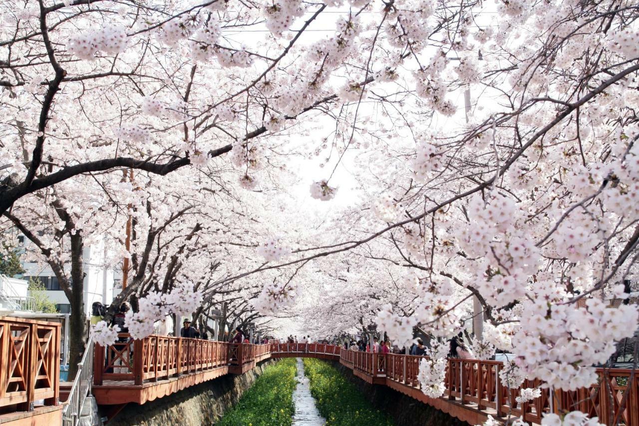 Hotel Avenue Changwon Dış mekan fotoğraf